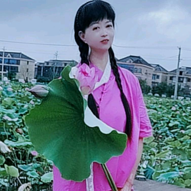 范大姐