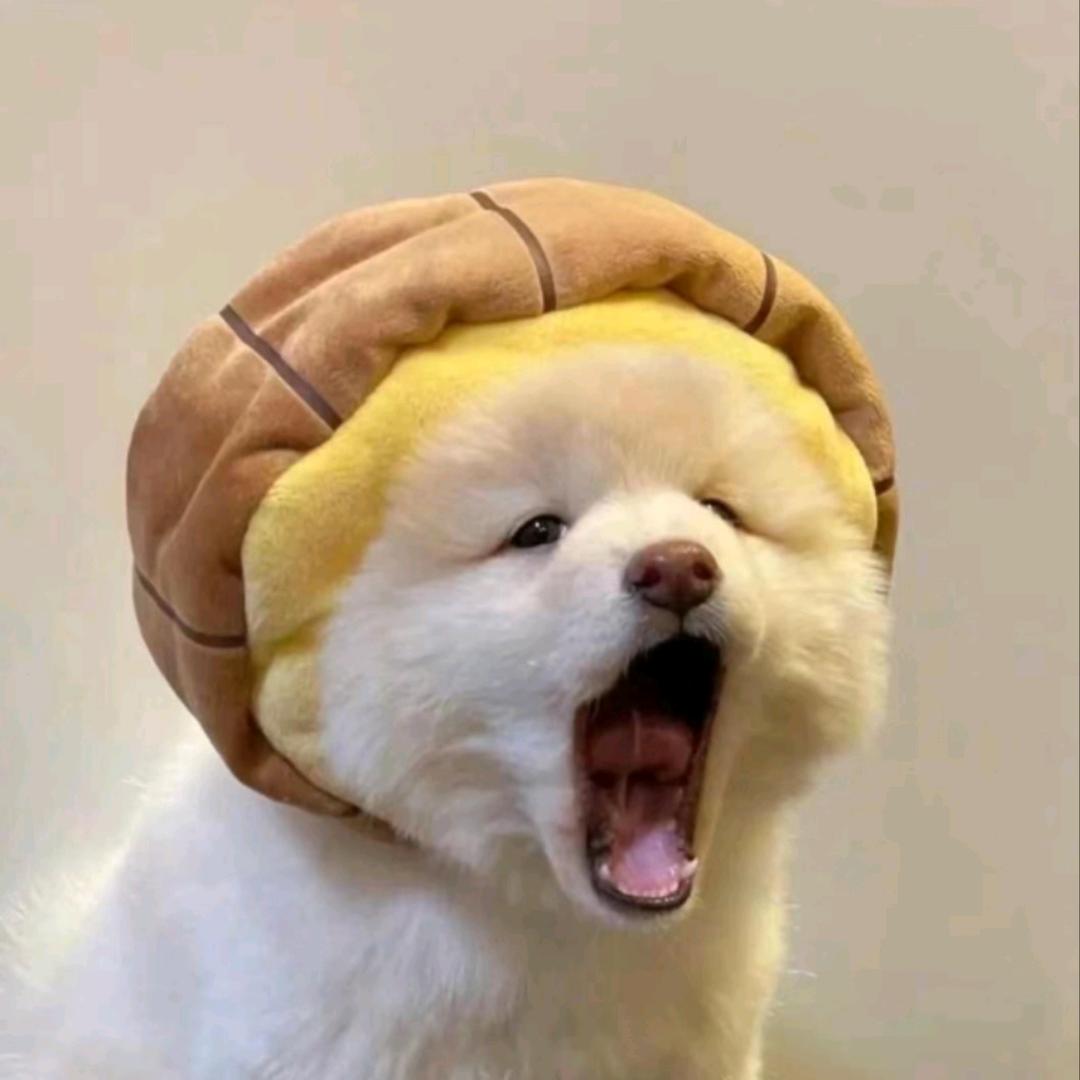 酱酱