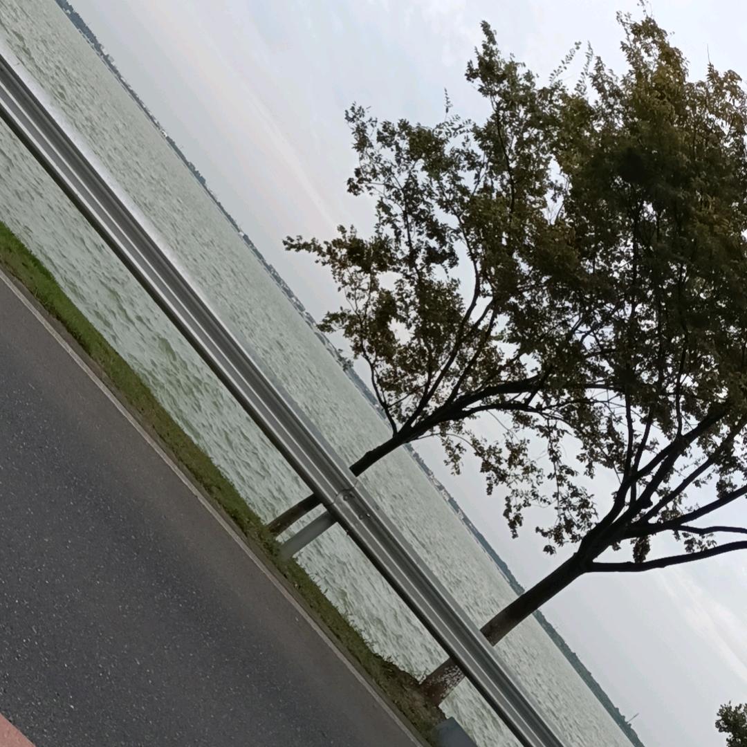 你好