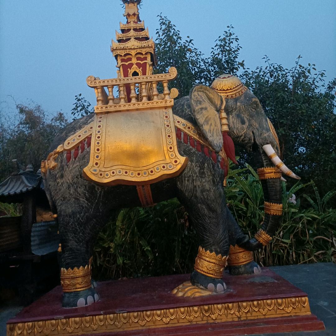 迪迪手写