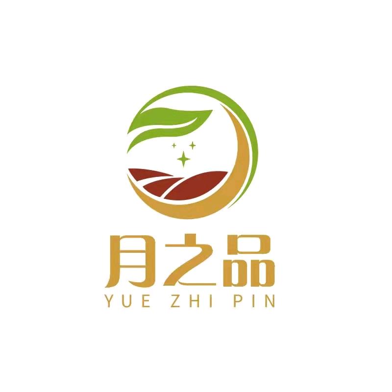 神龙自由橱窗带货