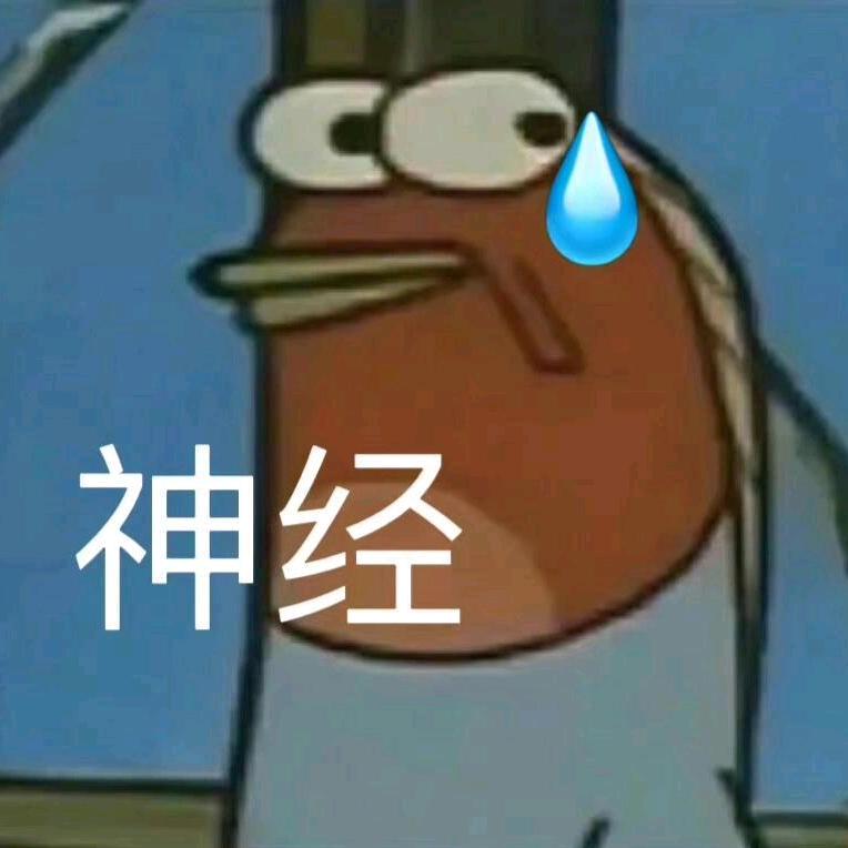 29294559241
