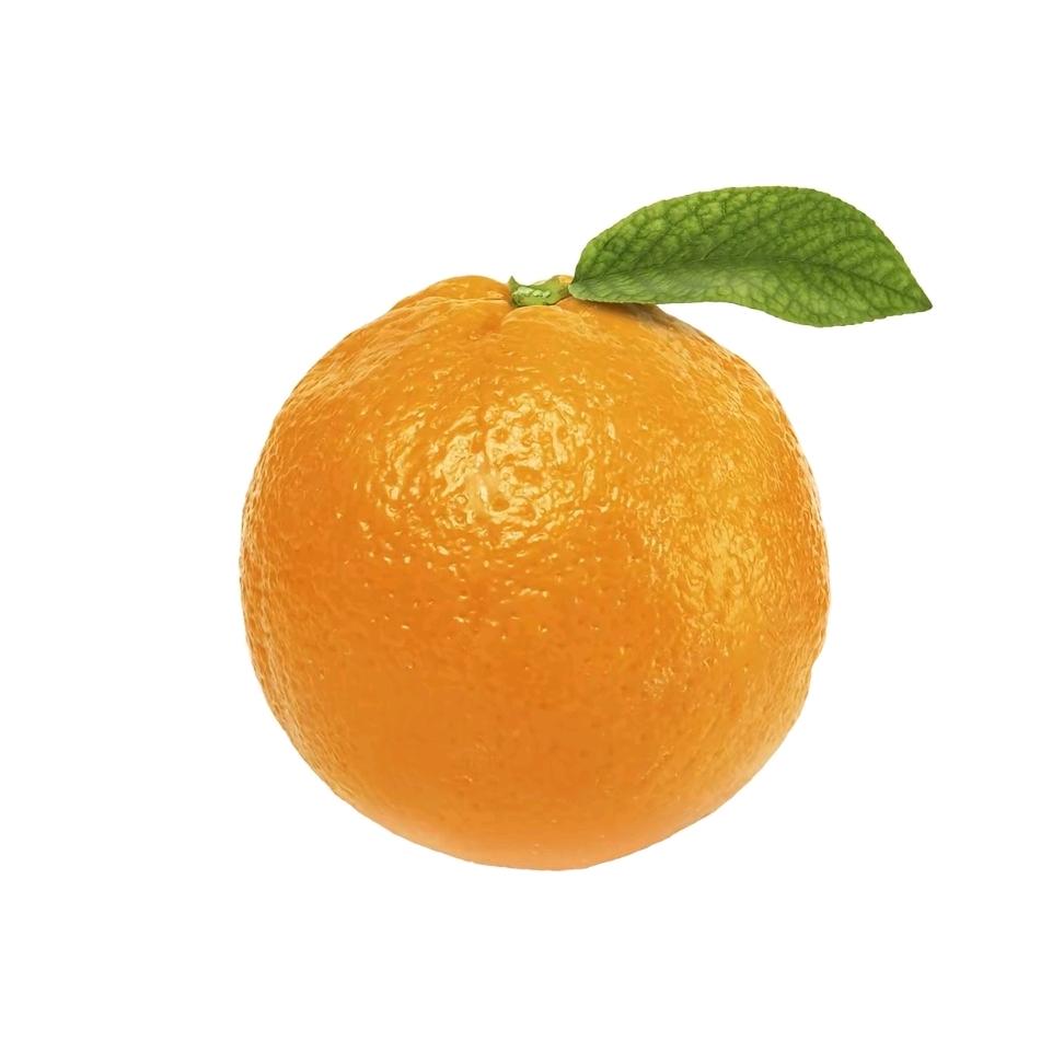 橙 留 香