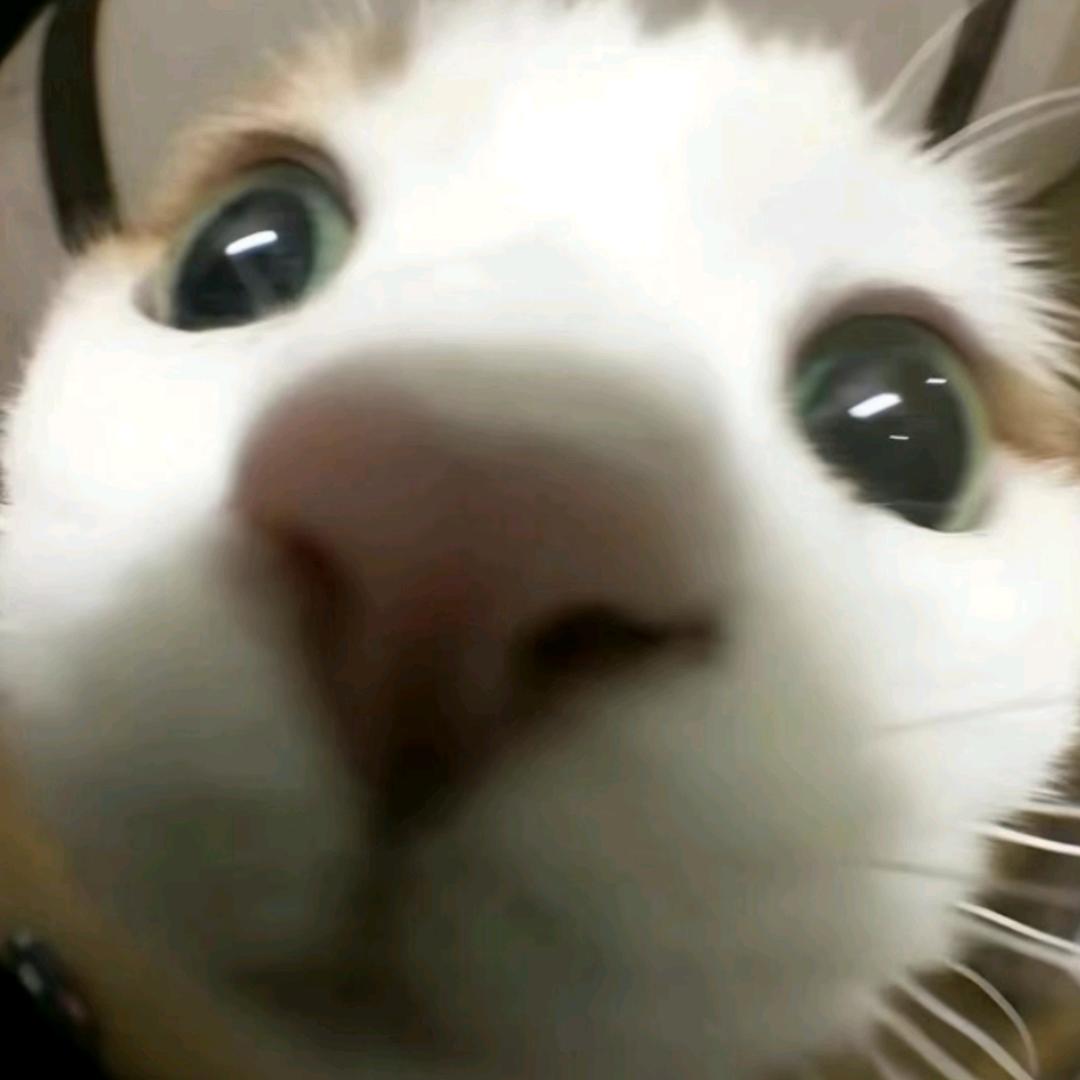 看着你