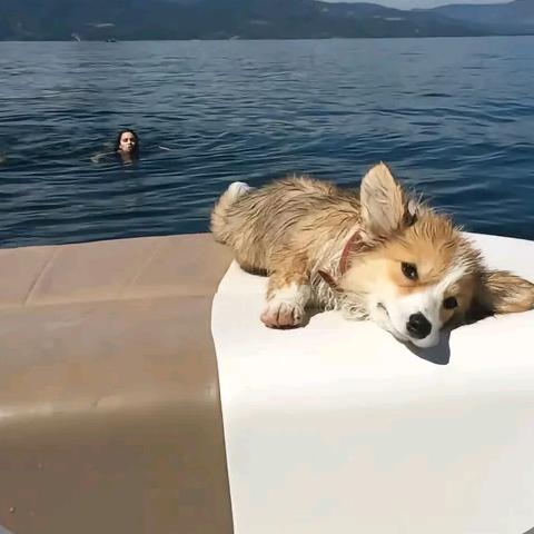 💤