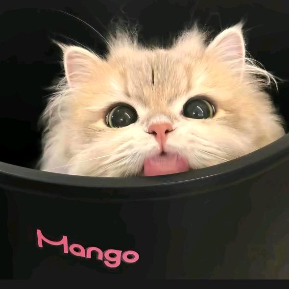 小御贝贝⁰⁵¹²