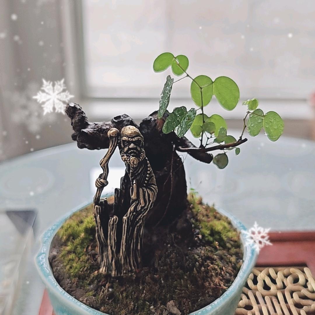 小袍