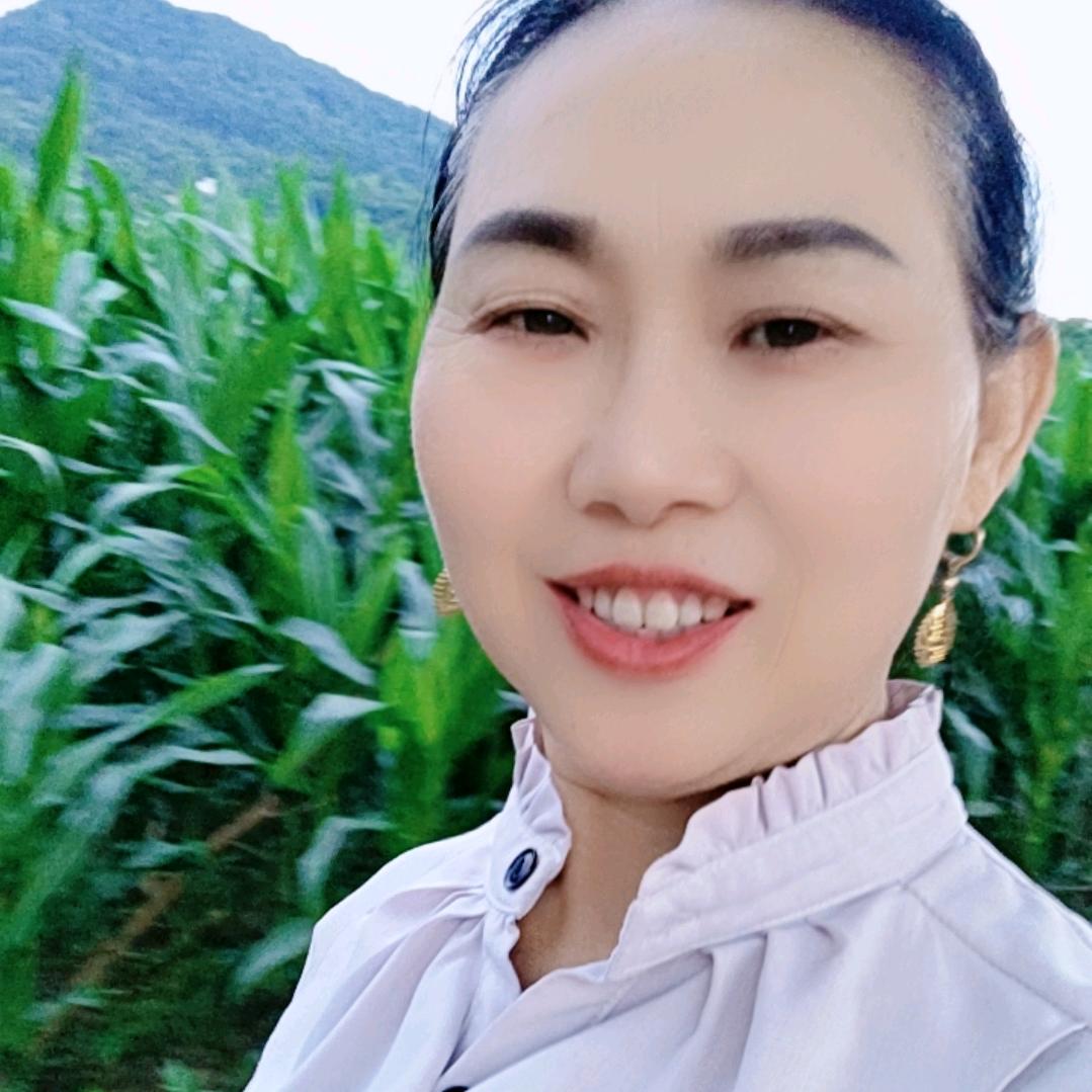雨过天晴(贺介碧)