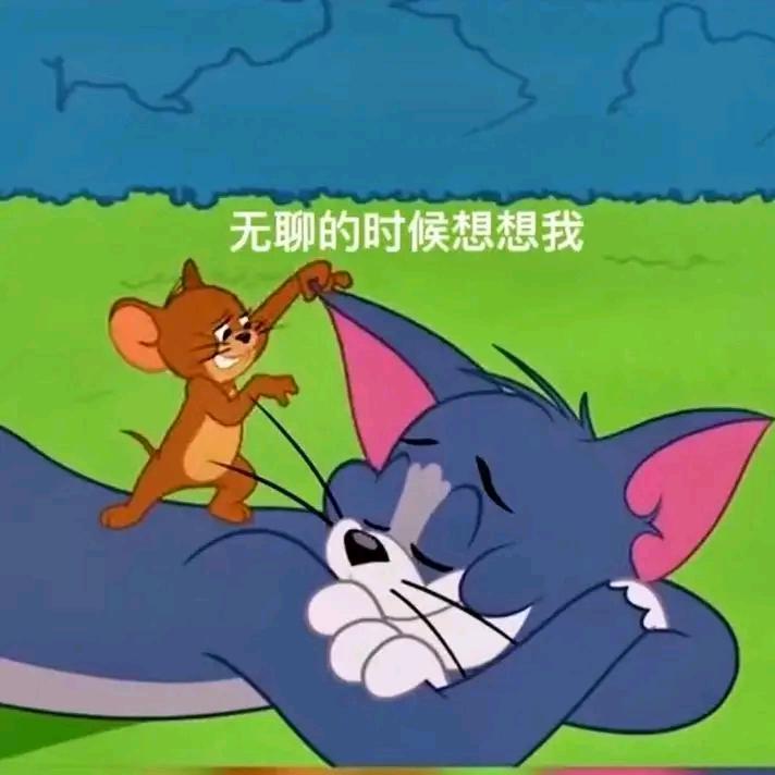 @清风伴我行
