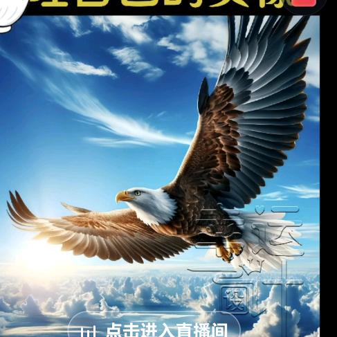 海阔天空🏄🏻