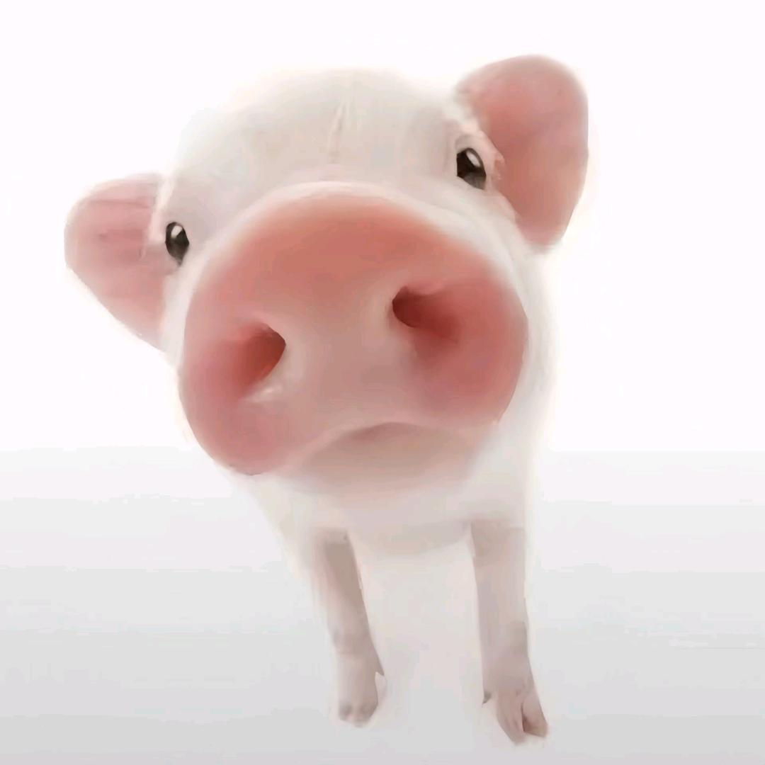 沐云