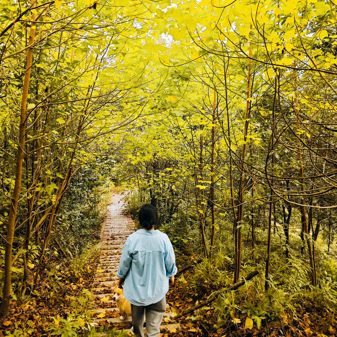 龙岩信速捷物流
