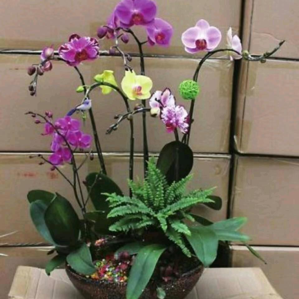 兰花指