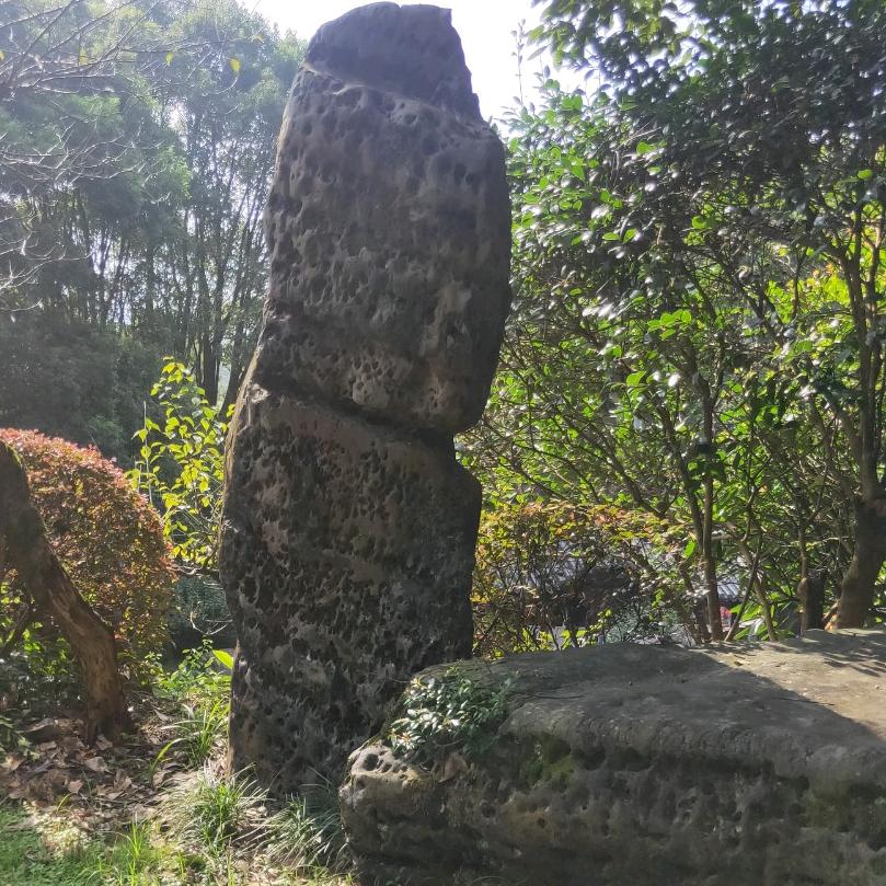 风线呼呼响