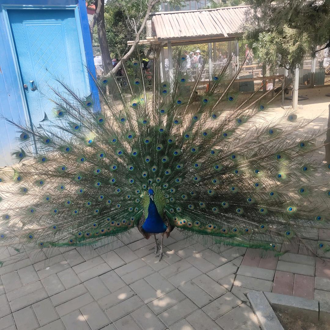 阳光