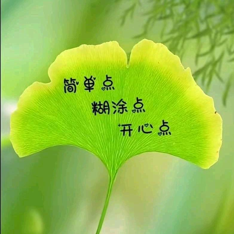 余生᭄꧔ꦿ随心