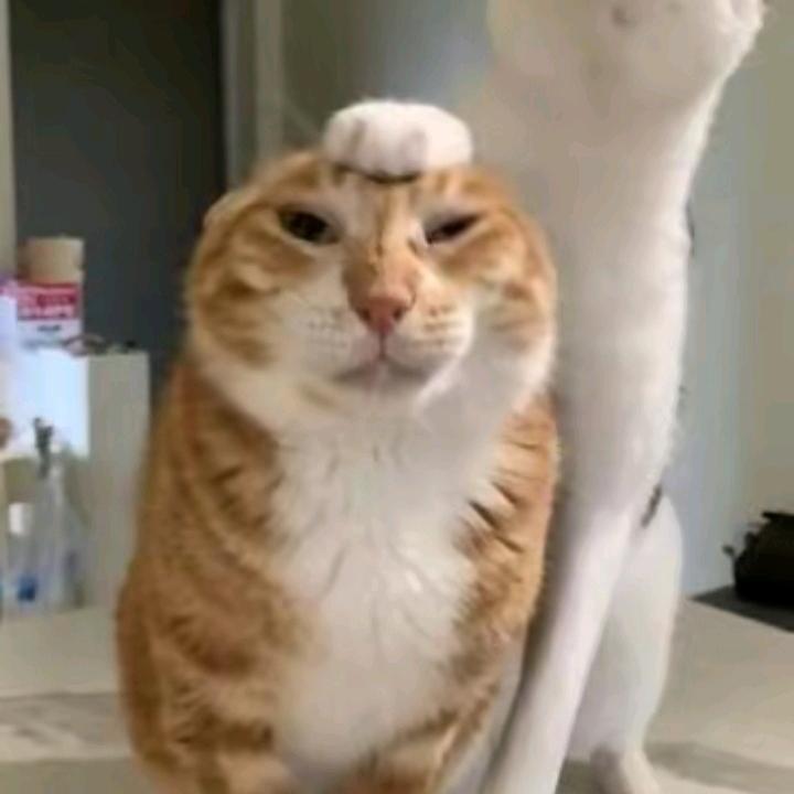 1+1