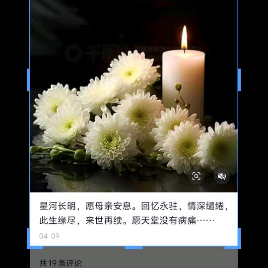 执着💝💝💝（义门陈）
