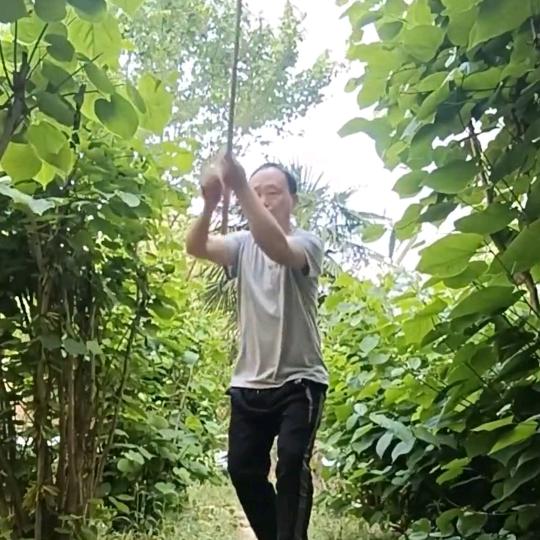 提挈天地