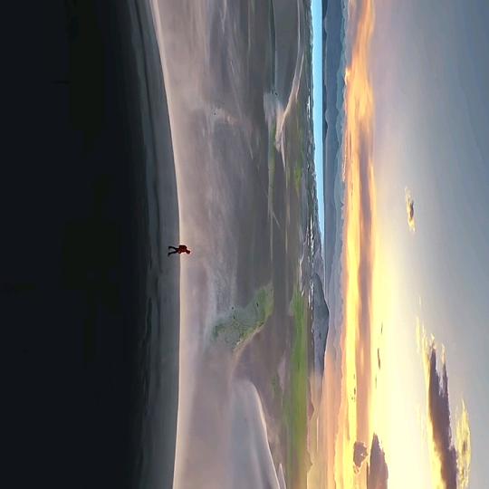 老鸡汤