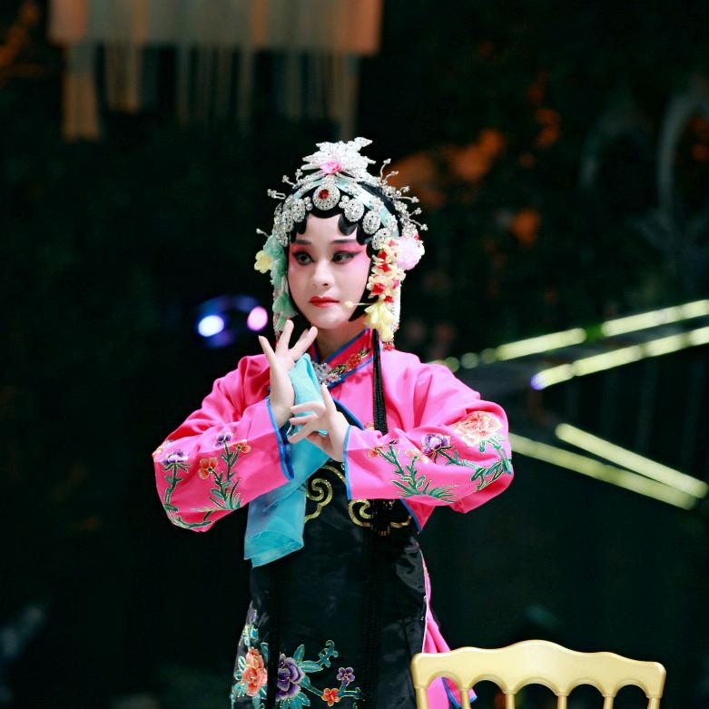 庐剧陈燕（黄梅戏&庐剧）