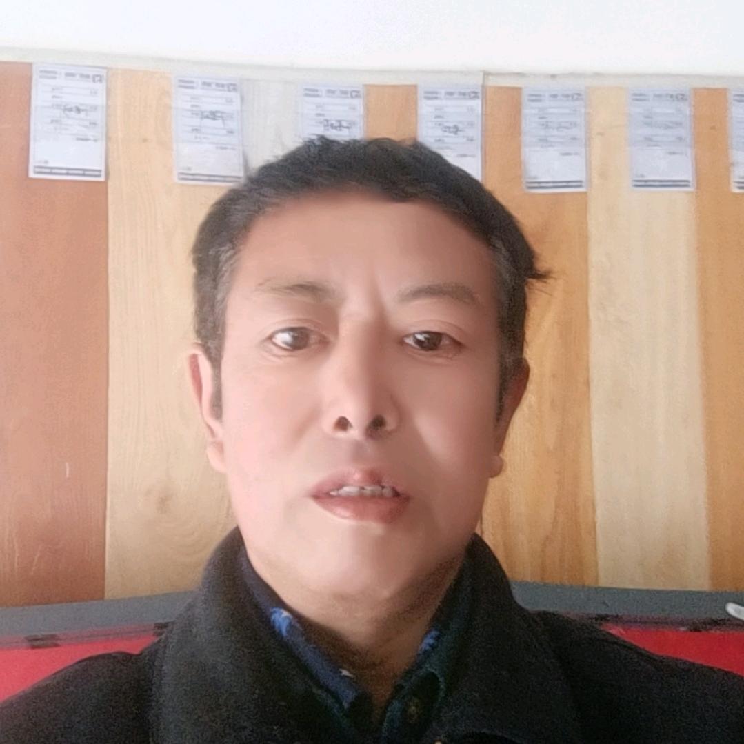 不老松