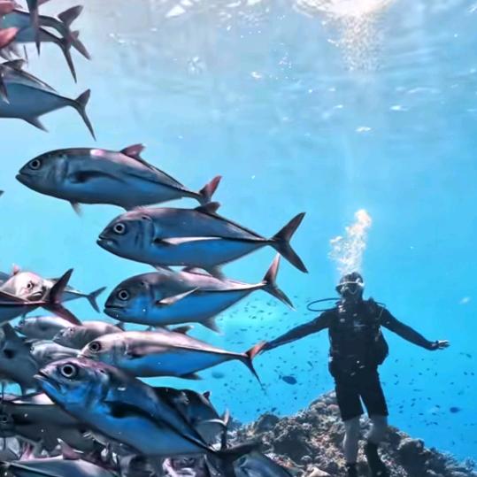 海之韵