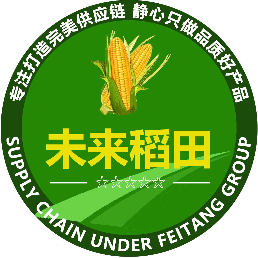 未来稻田