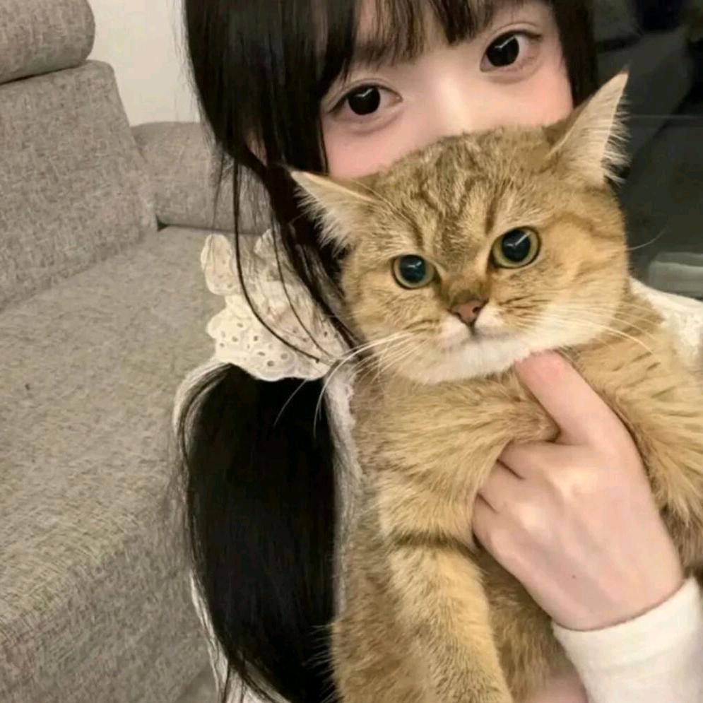 心
