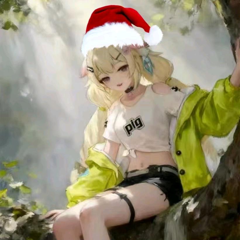 𝓜𝓻.莱莱大王💫（争取会员版）