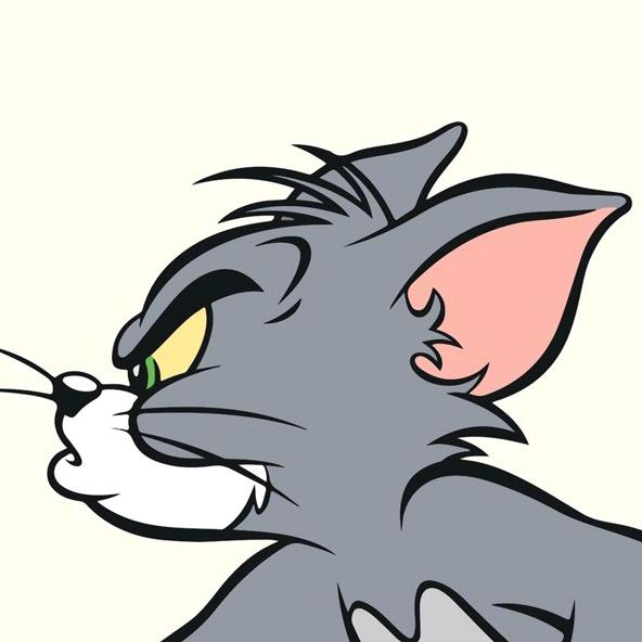 🌈阳光海滩M3🐵