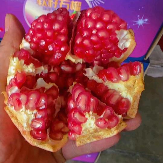 西安雨润市场代采贺小贺