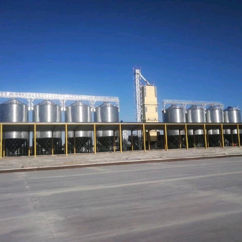 钢板仓安装-李明辉