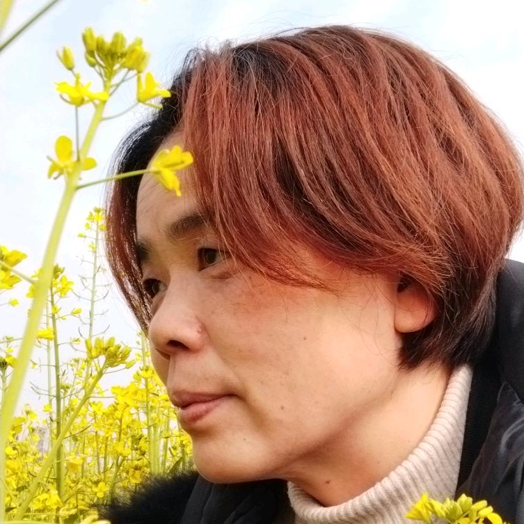 雨后彩虹金金