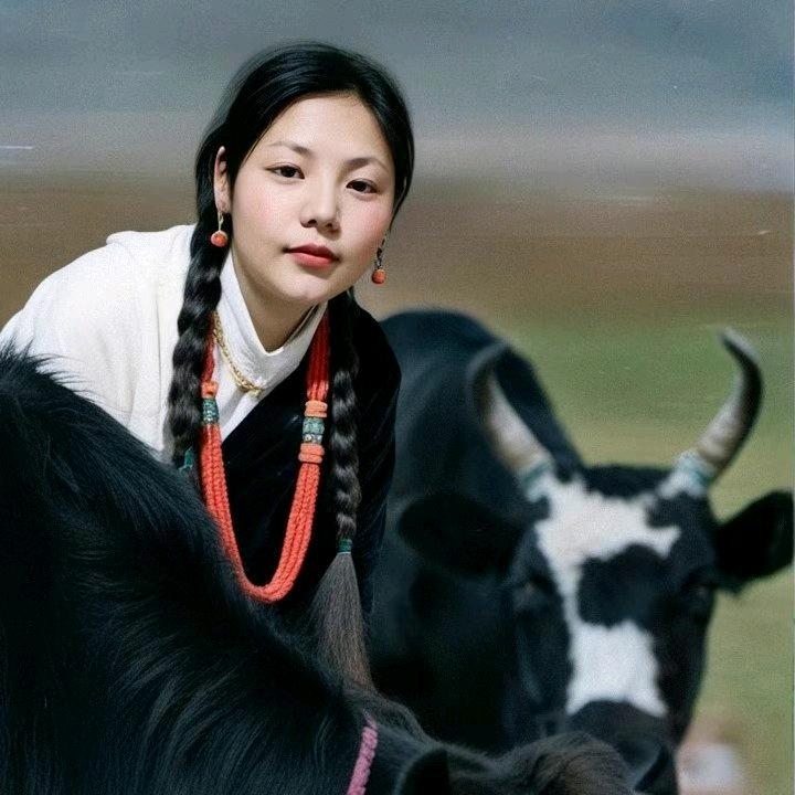 ℳ *简单🉐生活