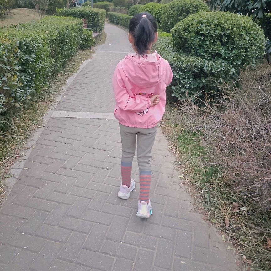 小海豚🐬