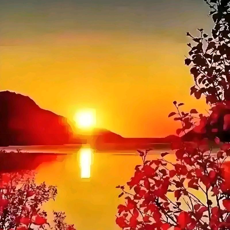 @夕阳红