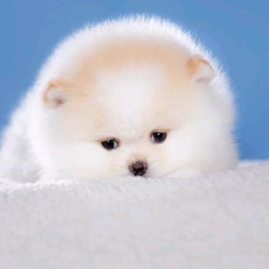 江河湖海木林森