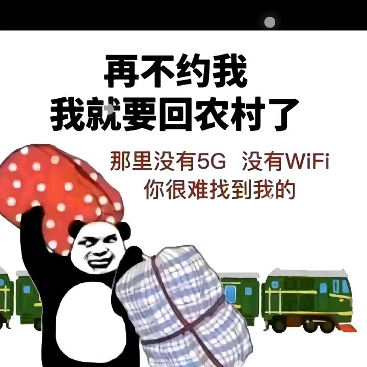 风一样的你