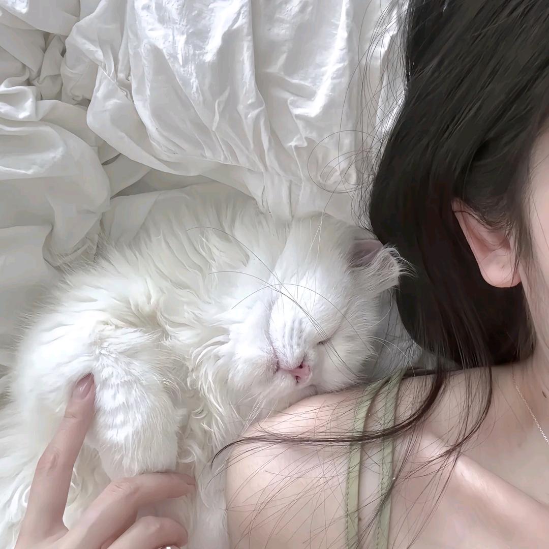 小别兔别又别🐰