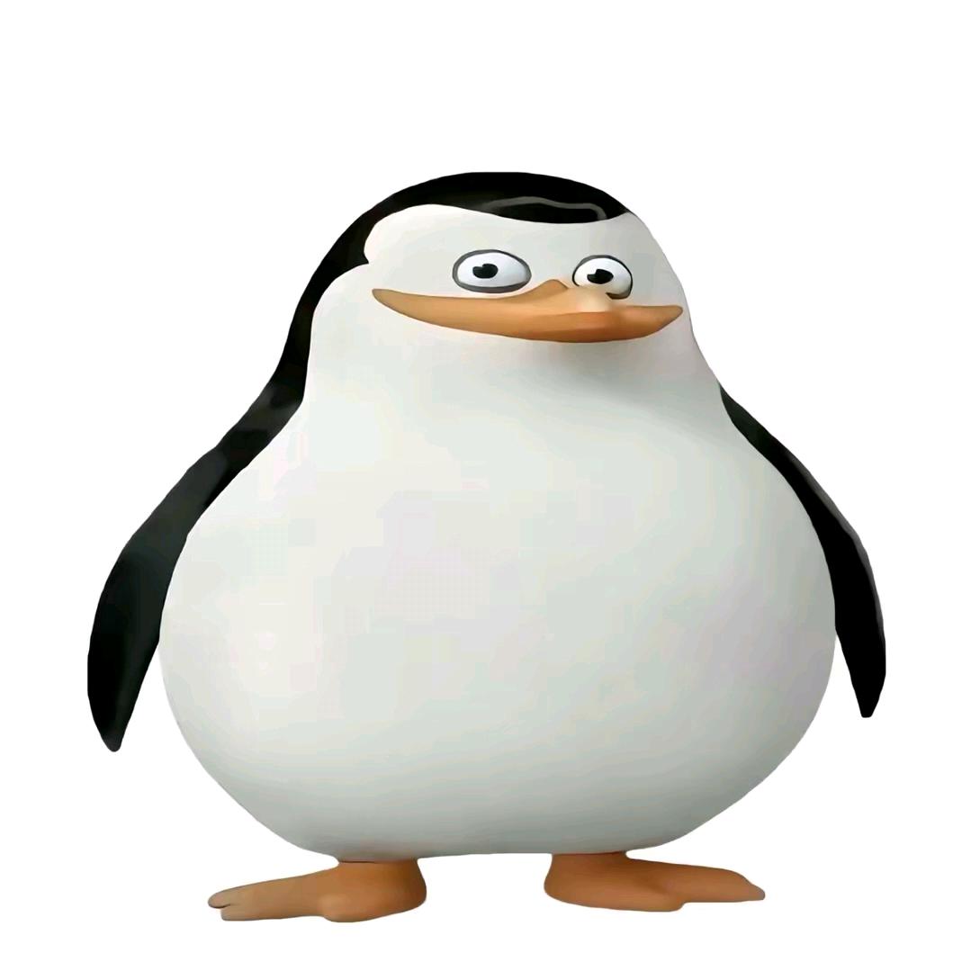 世纪泪绪（DJI）