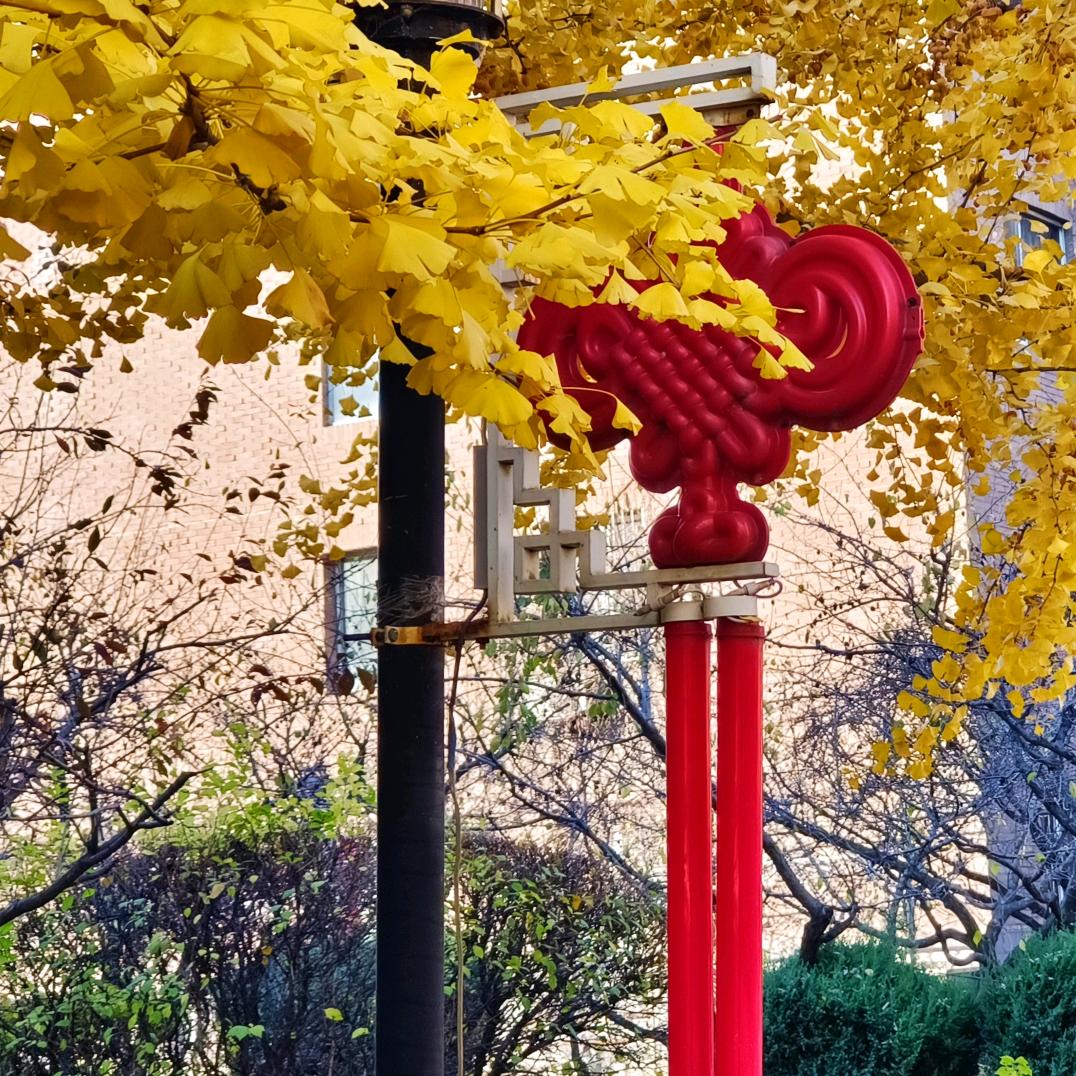 🦊196160后