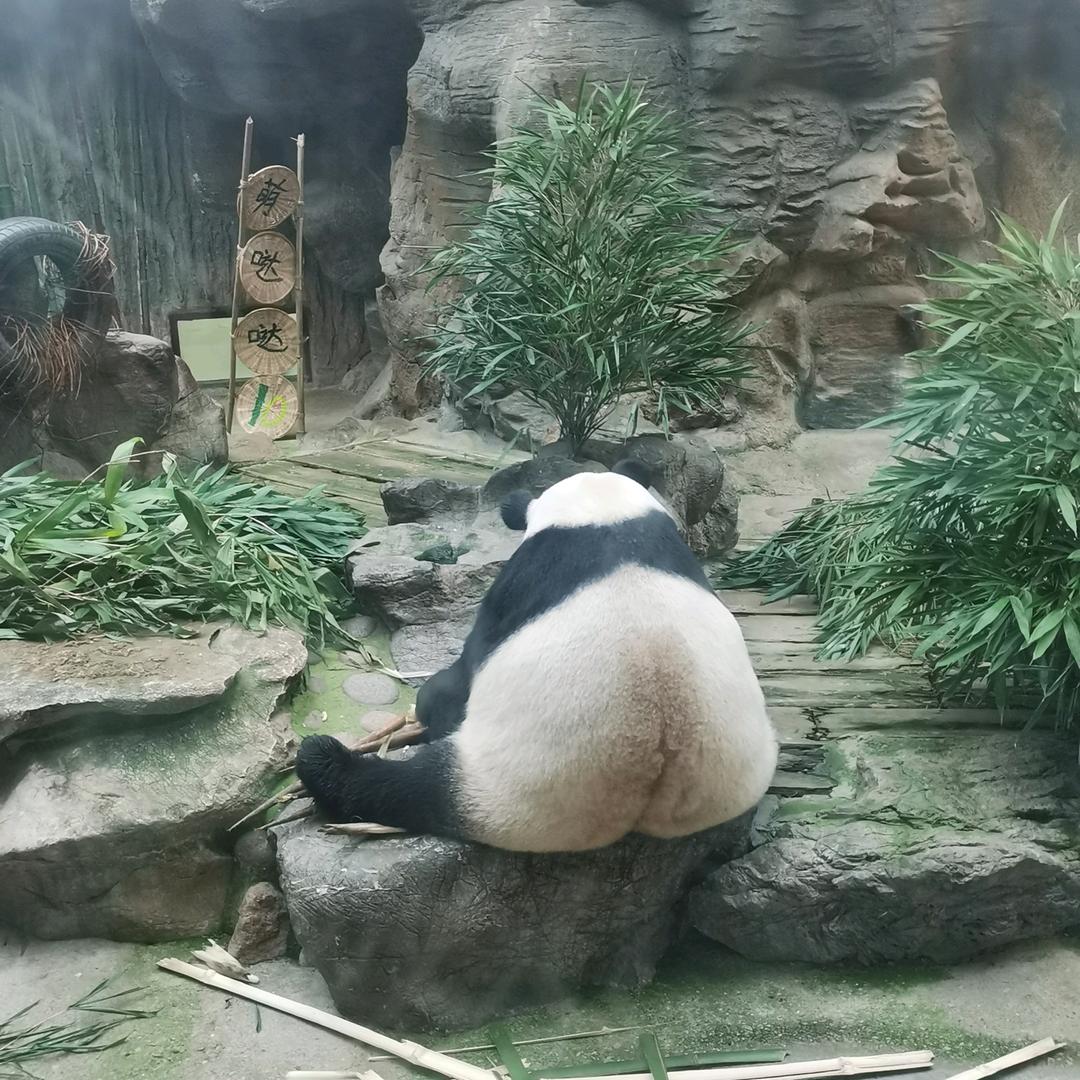 道远（称重 包装 分选）
