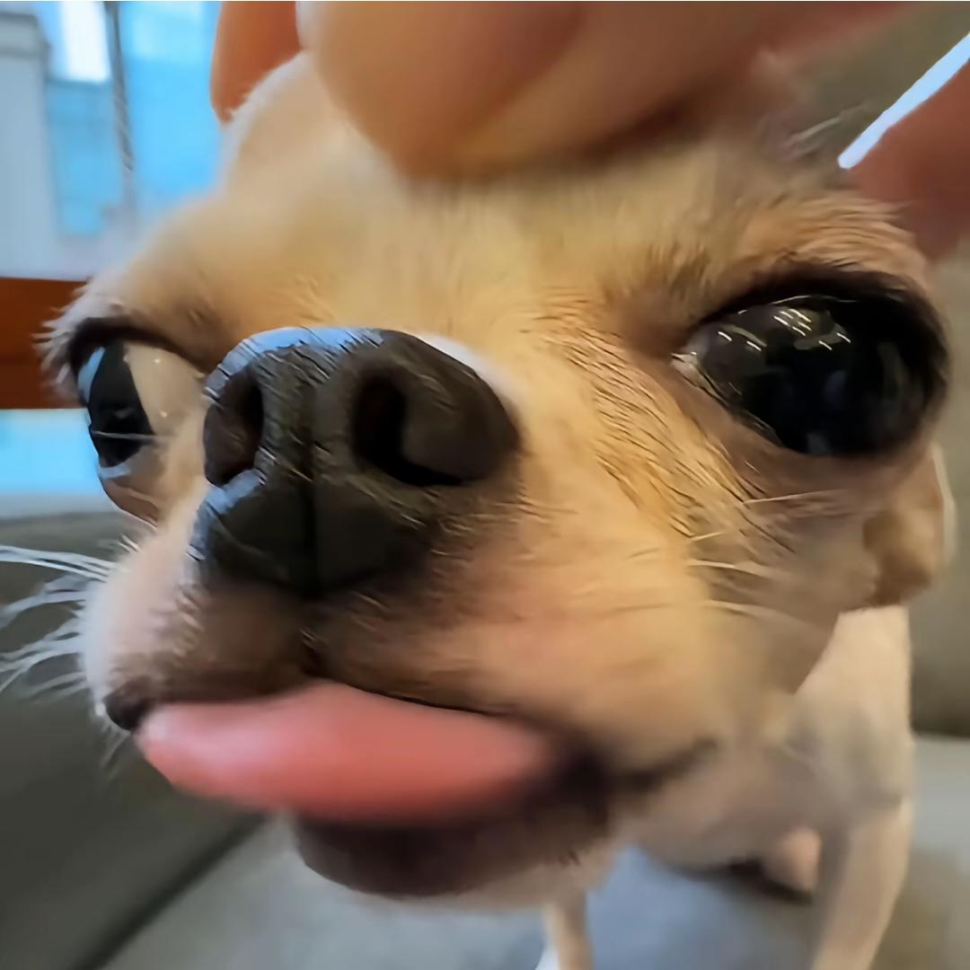 _福尔马林_