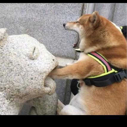 再也别再