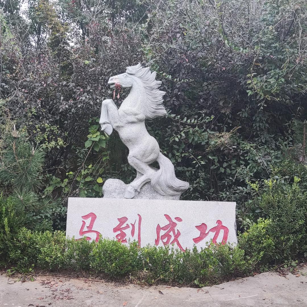 西湖天空的鹰