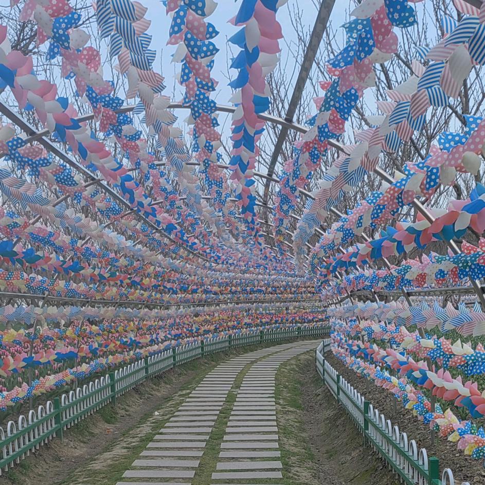 飞雨
