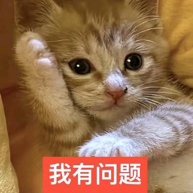 天气预报要下雨