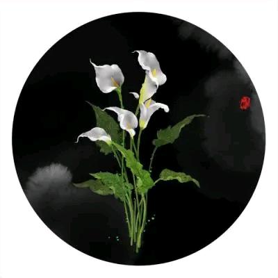 心想事成(/ω＼)