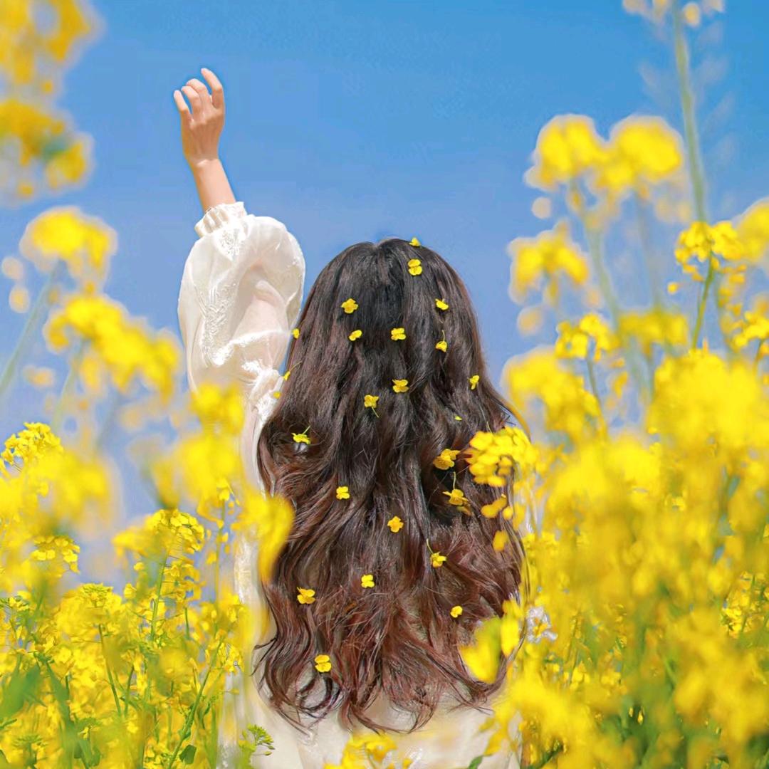 月亮六便士我都要